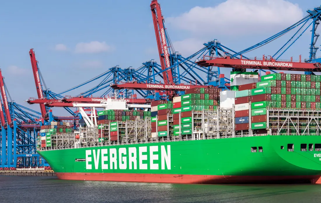 Large green container ship berthed under gantry cranes